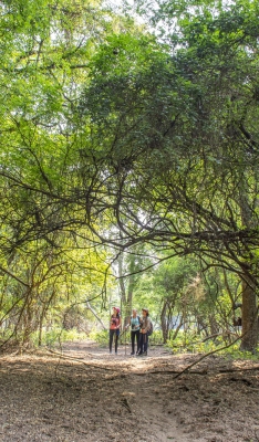 Parque Nacional El Rey