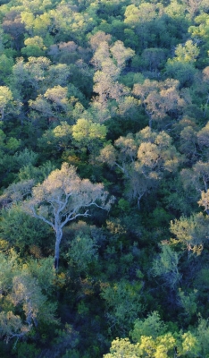 Parque Nacional Copo
