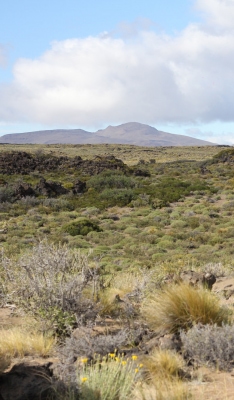 Laguna Blanca National Park