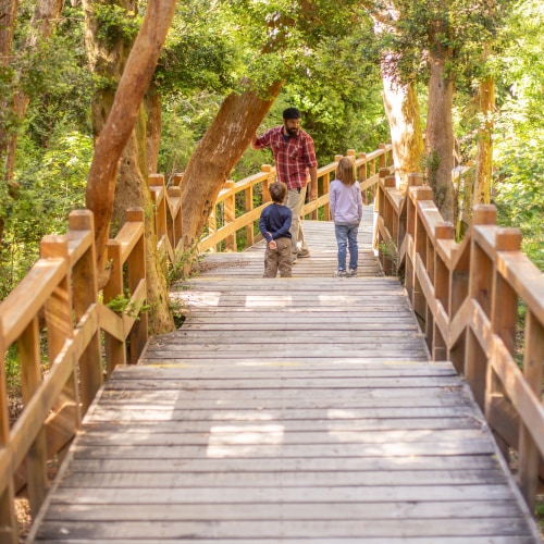 Parque Nacional Los Arrayanes