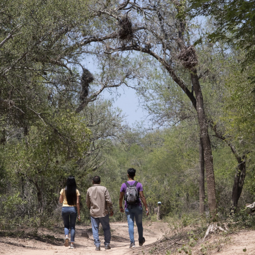Chaco National Park