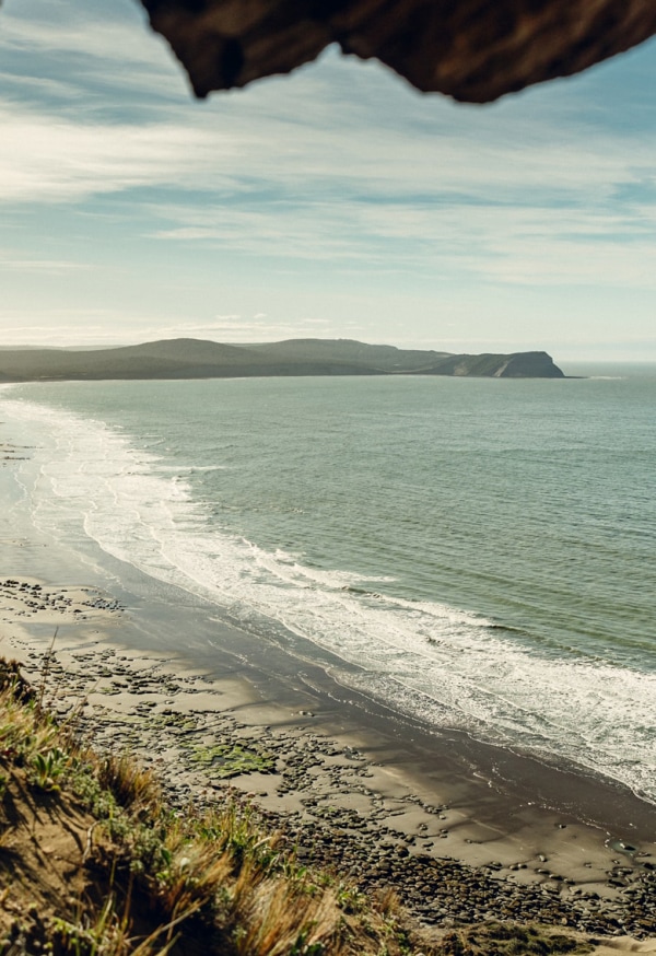 Atlantic Coast Reserve