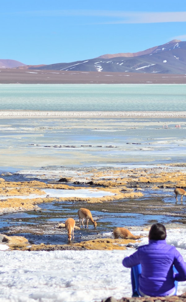 Reserva Provincial Laguna Brava